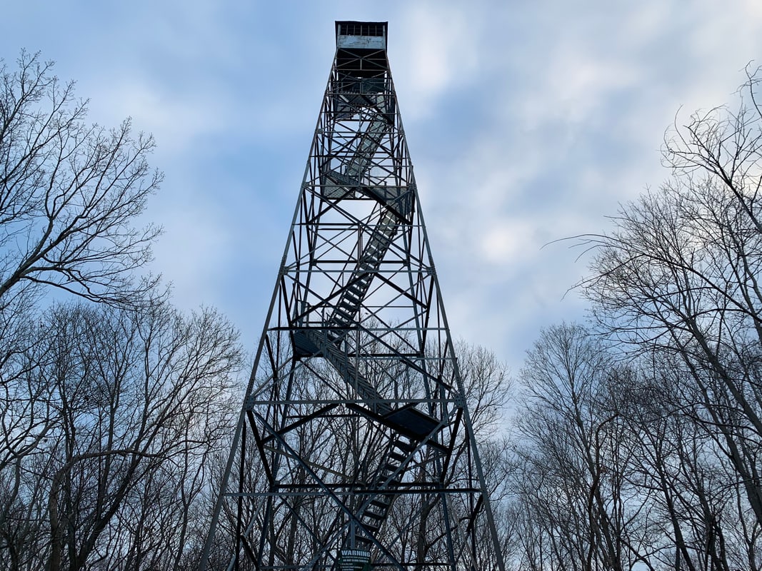 Ferncliff Forest observation tower