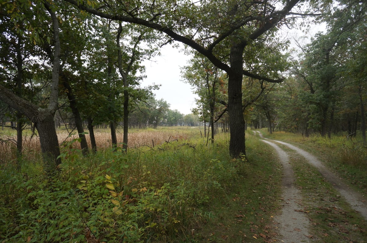 Illinois Beach State Park (North Unit)