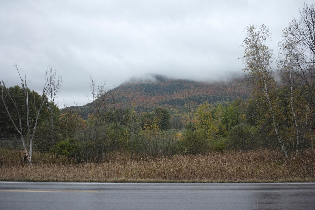 Looking east from State Route 116