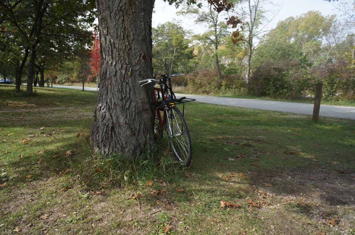 Site 149 at the Illinois Beach State Park campground