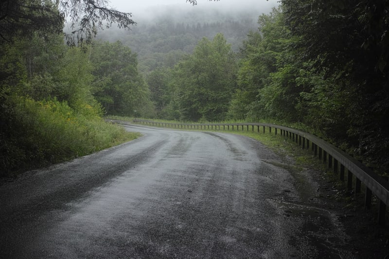 Rainy roads west of Margaretville