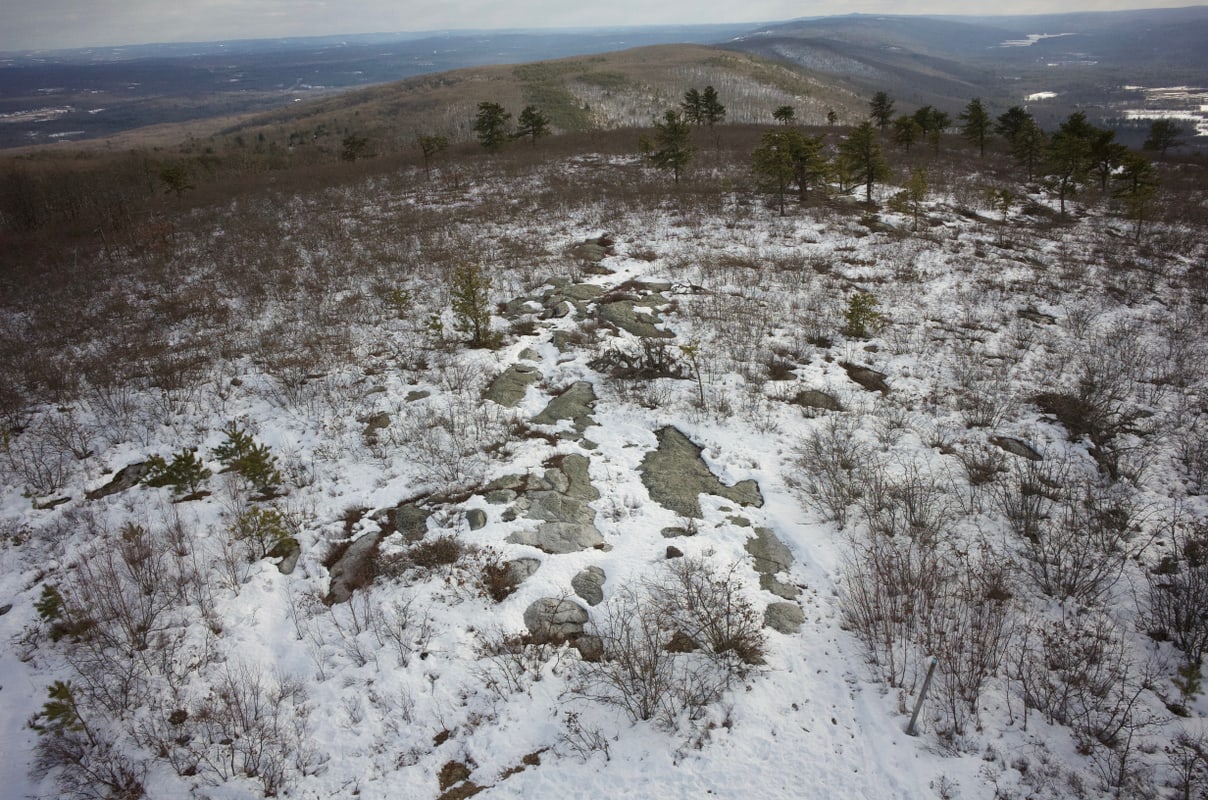 View from the Roosa Gap fire tower