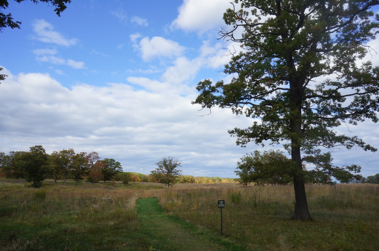 Fort Sheridan Forest Preserve