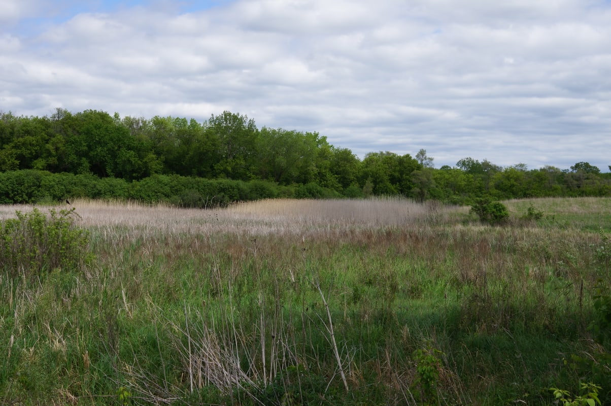 Larsen Prairie, McHenry County, Illinois