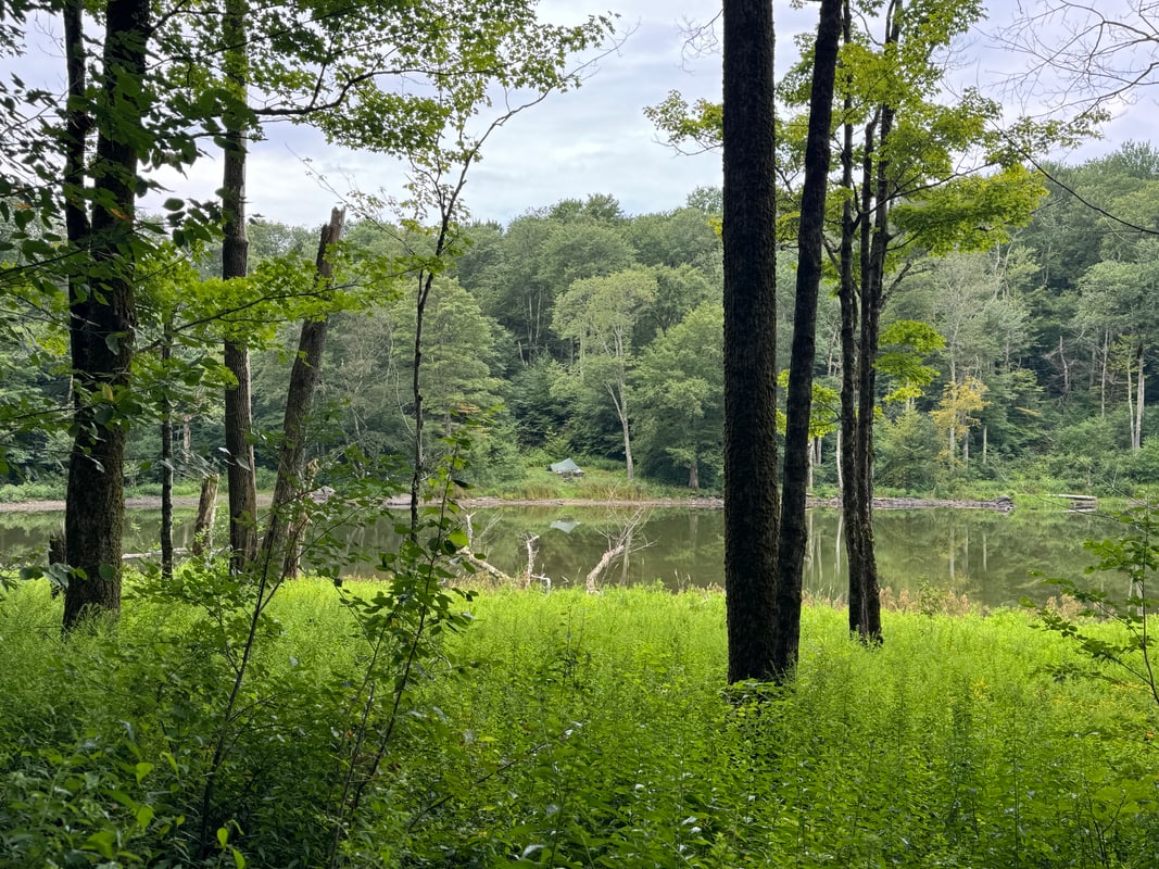 Trout Pond campsite Trout Pond campsite
