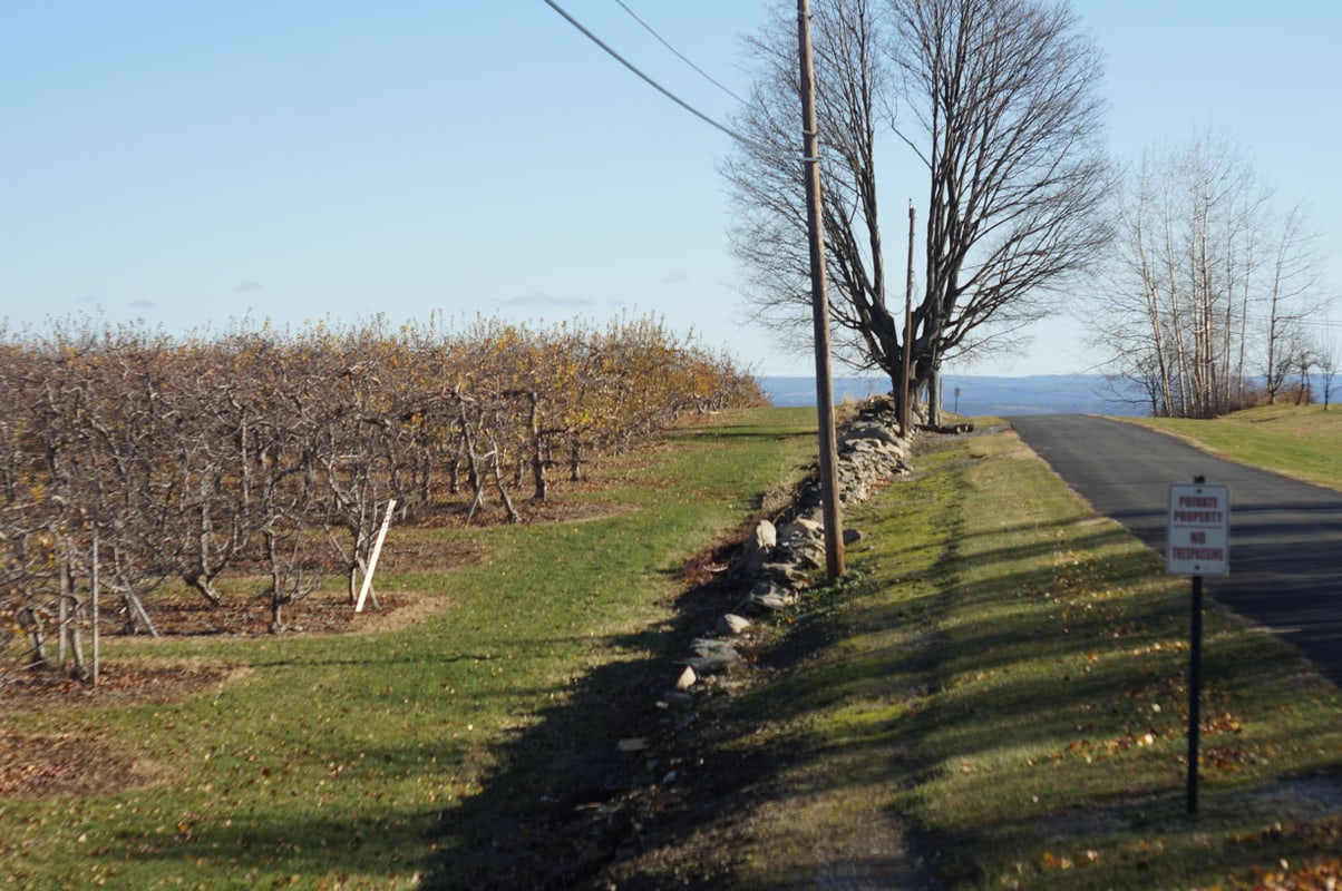 Ridge Road above Marlboro, New York