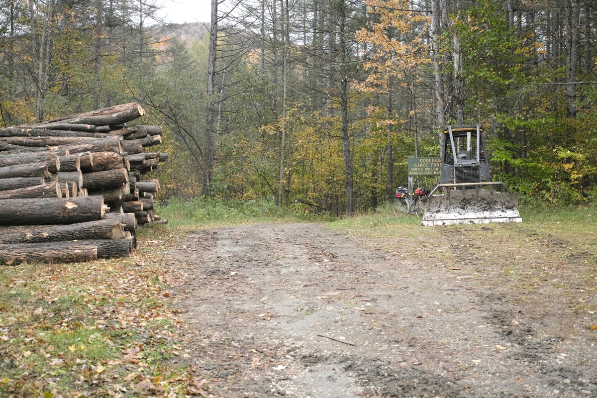 Calvin Coolidge State Forest