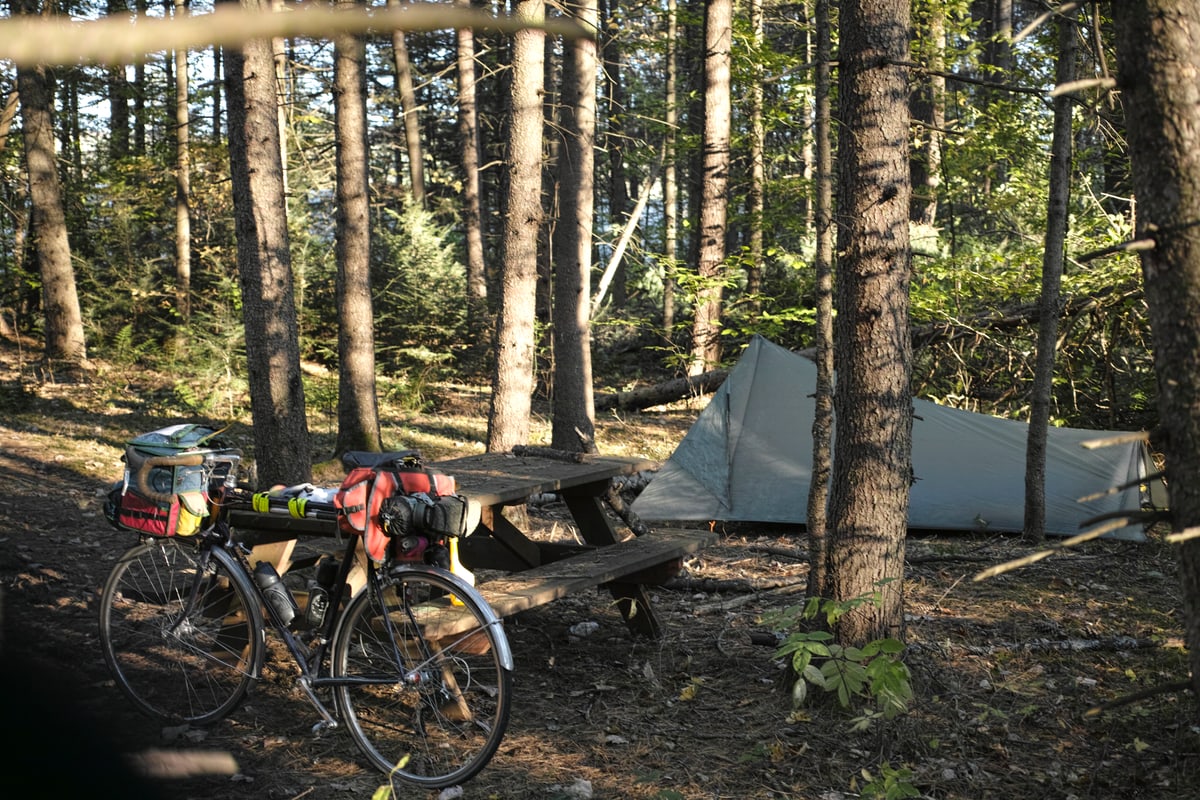 Randolph Town Forest campsite